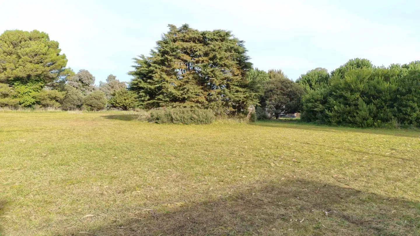 Lote . | De las tres Gracias al 100 1