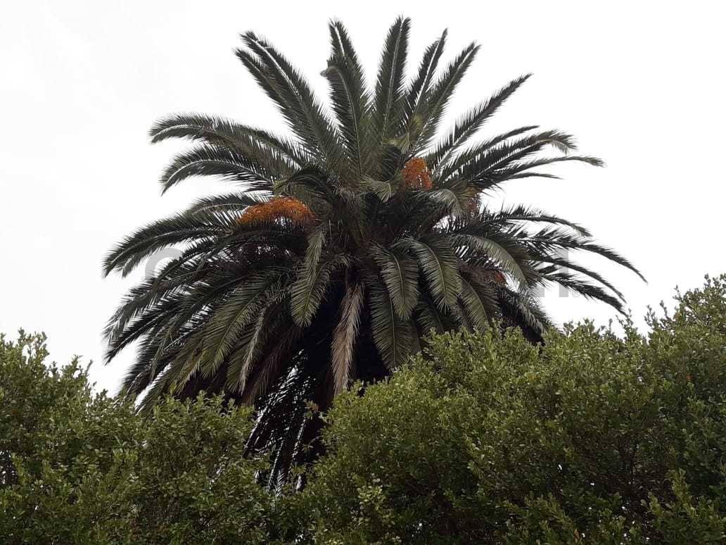 50 Esquina 1, Lote 32 en Barrio Cerrado 3