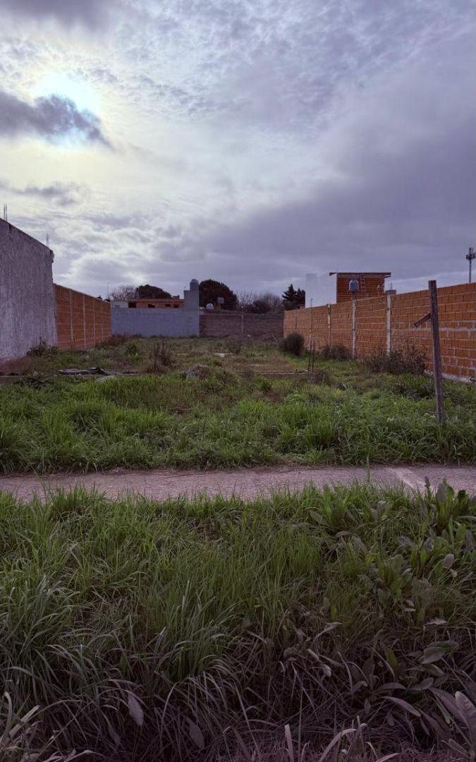 Foto de EL PATO, Lote de Terreno, imagen 4