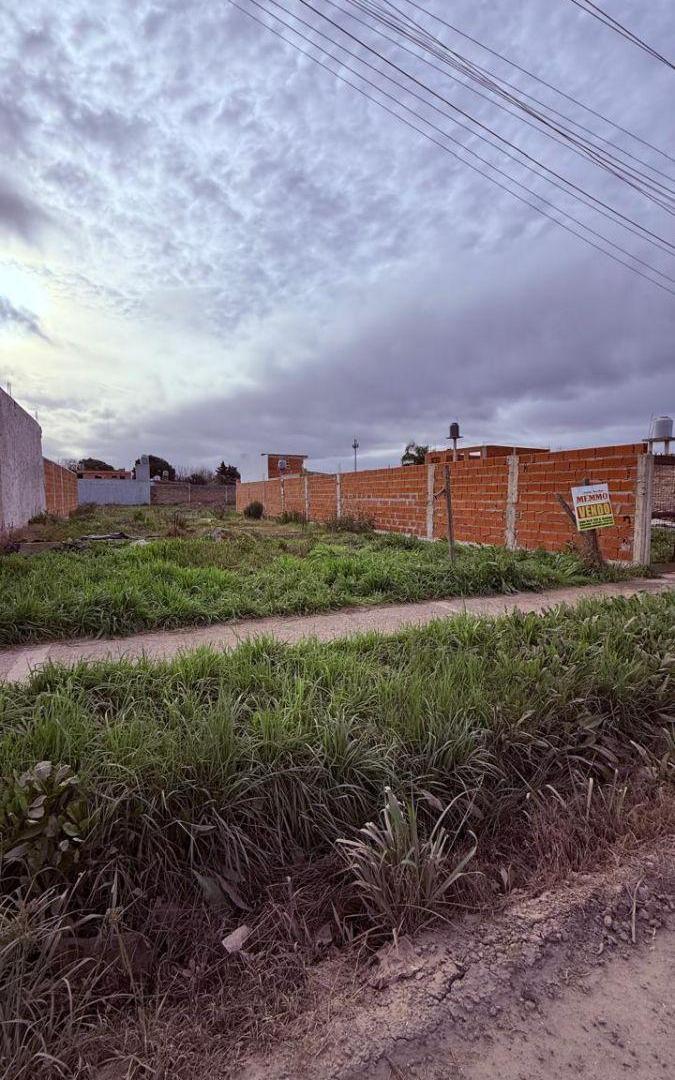 Foto de EL PATO, Lote de Terreno, imagen 2