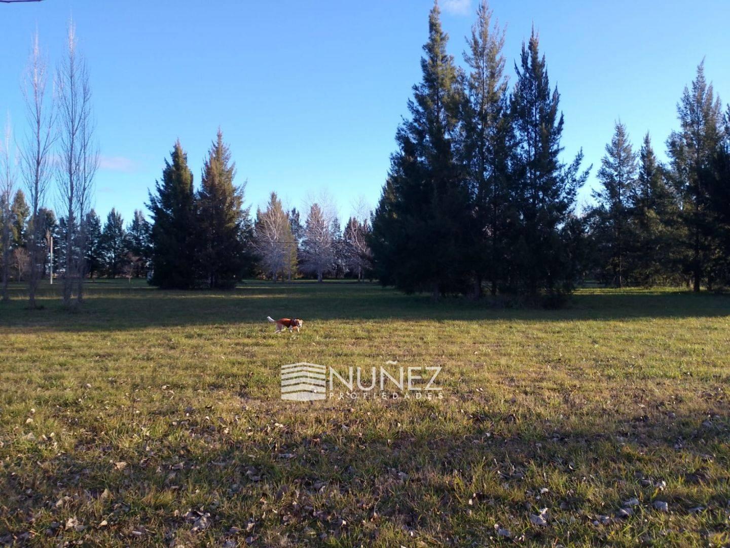 Foto de VENTA Lote en El Retiro Ecobarrio, Brandsen, imagen 3