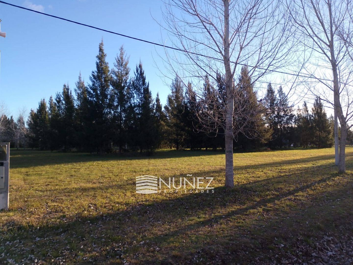 Foto de VENTA Lote en El Retiro Ecobarrio, Brandsen, imagen 5