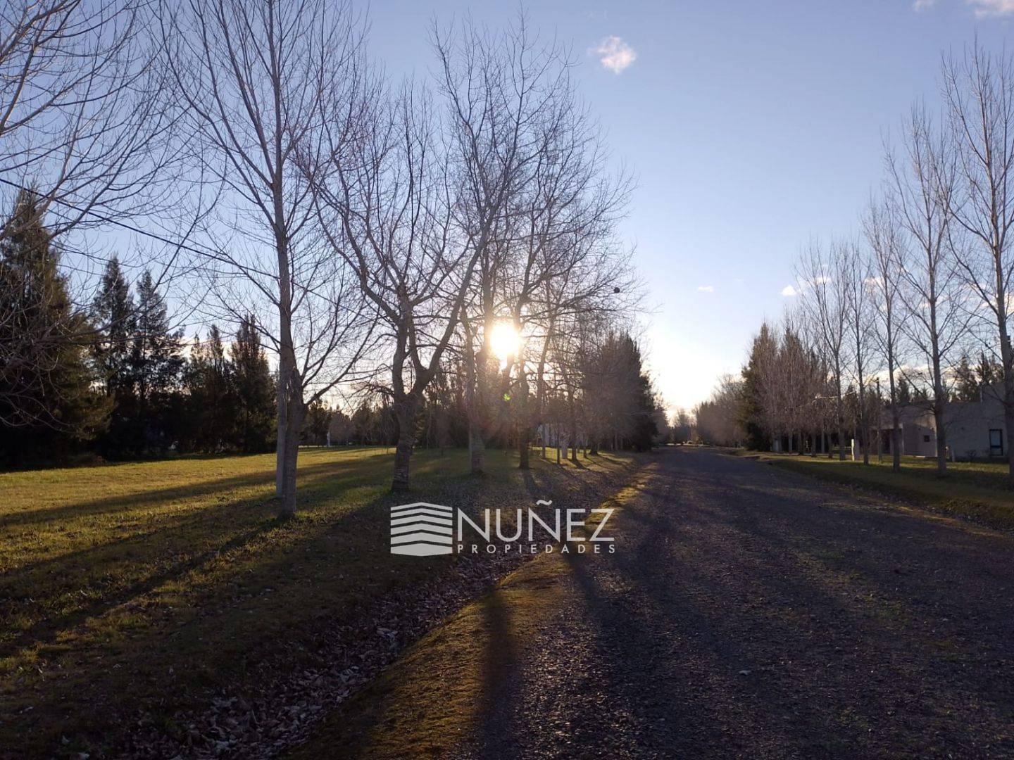Foto de VENTA Lote en El Retiro Ecobarrio, Brandsen, imagen 4