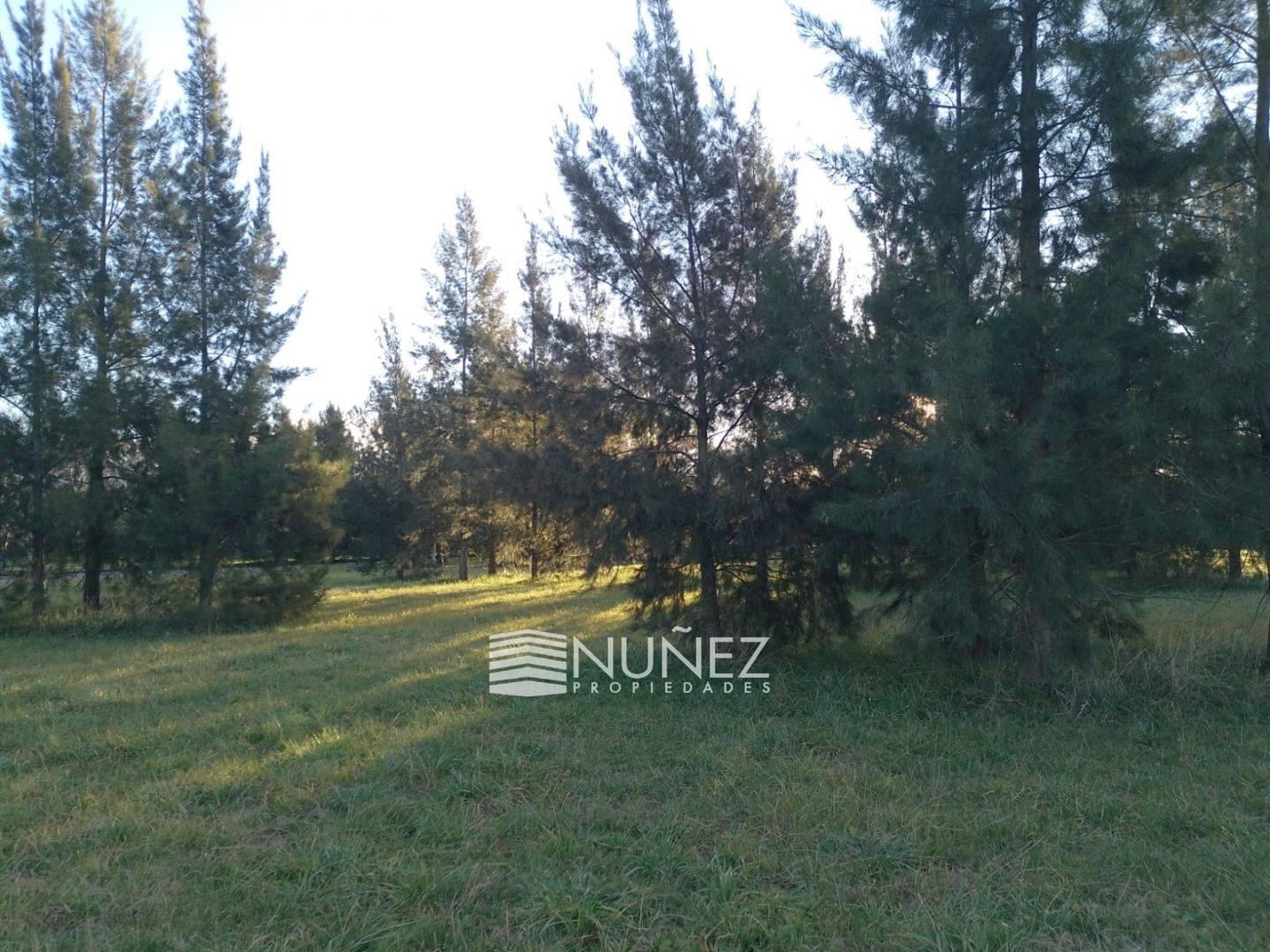Foto de VENTA Lote en El Retiro Ecobarrio, Brandsen, imagen 2