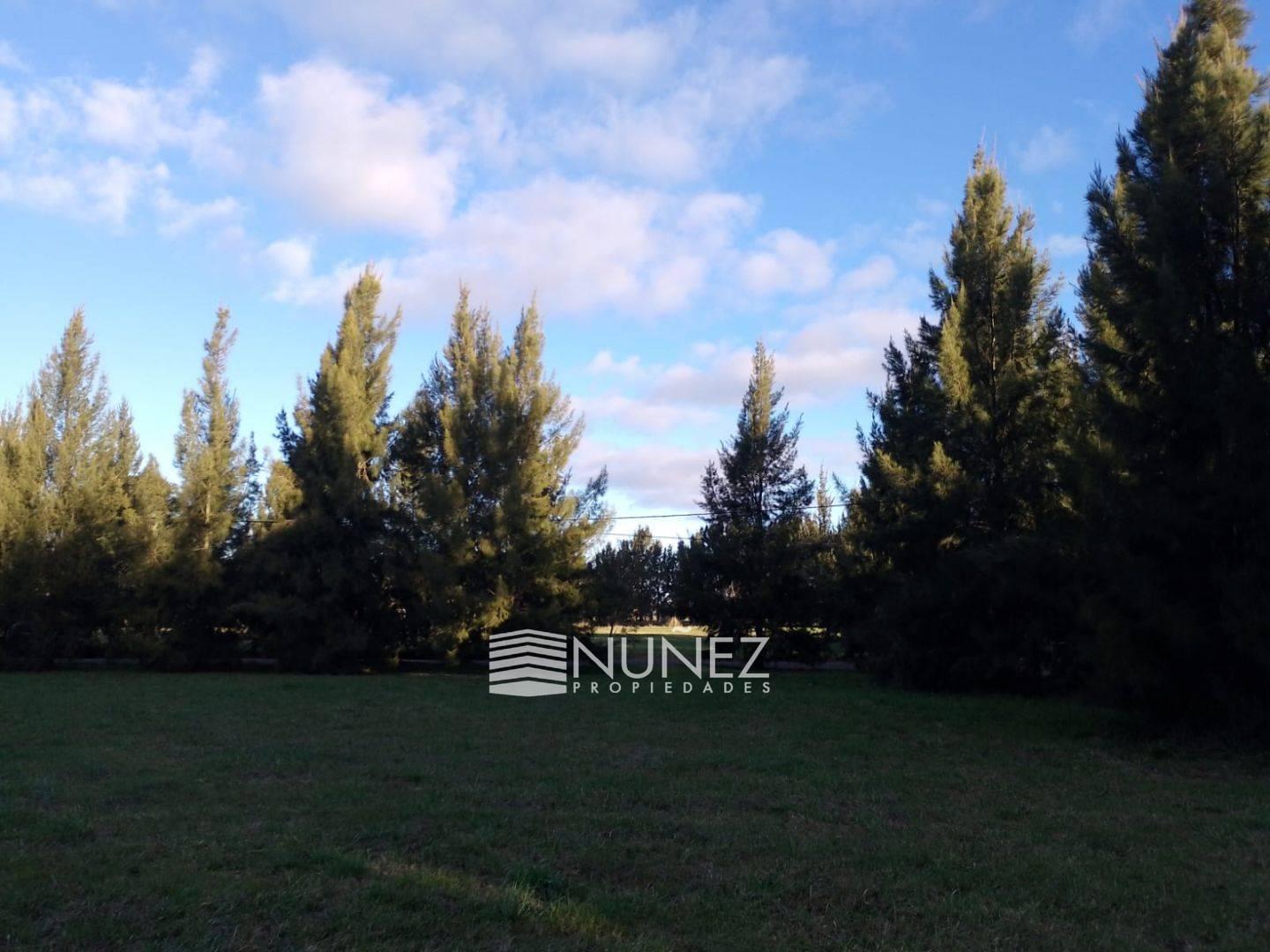 Foto de VENTA Lote en El Retiro Ecobarrio, Brandsen, imagen 3