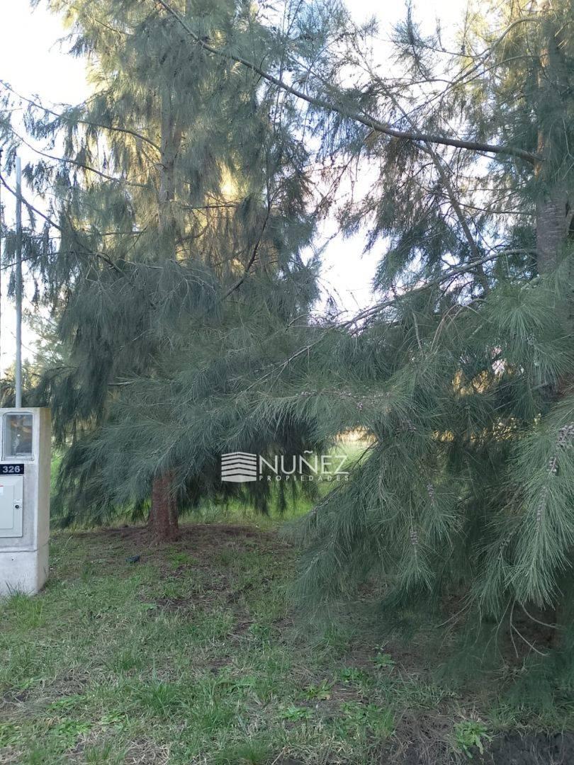 Foto de VENTA Lote en El Retiro Ecobarrio, Brandsen, imagen 4