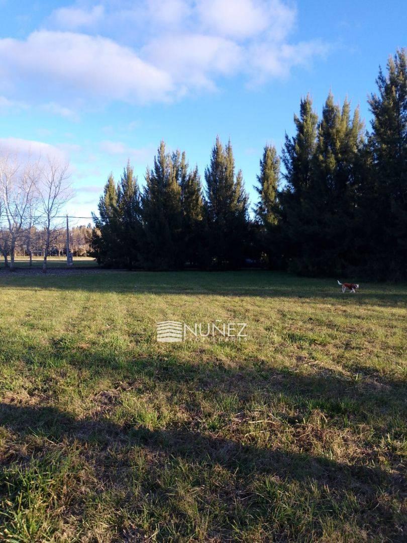 Foto de VENTA Lote en El Retiro Ecobarrio, Brandsen, imagen 5