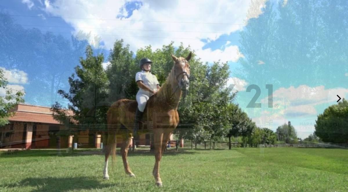 Foto de LINDISIMO LOTE EN HARAS DEL SOL, imagen 4