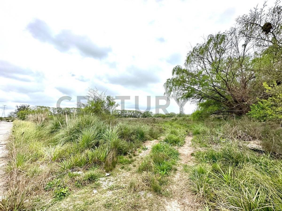 VENTA DE 49 HECTAREAS AV. SAN FERNANDO Y RUTA 25