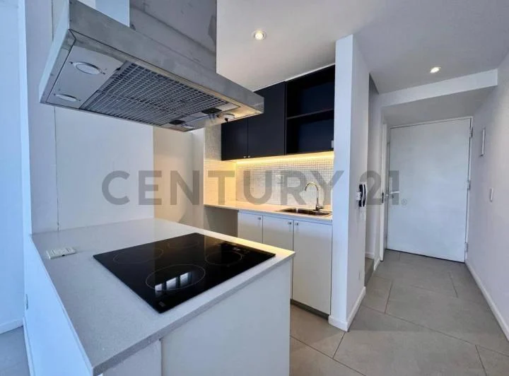 VENTA TRIPLEX 3 AMBIENTES  TERRAZA Y COCHERA EN SAAVEDRA 3