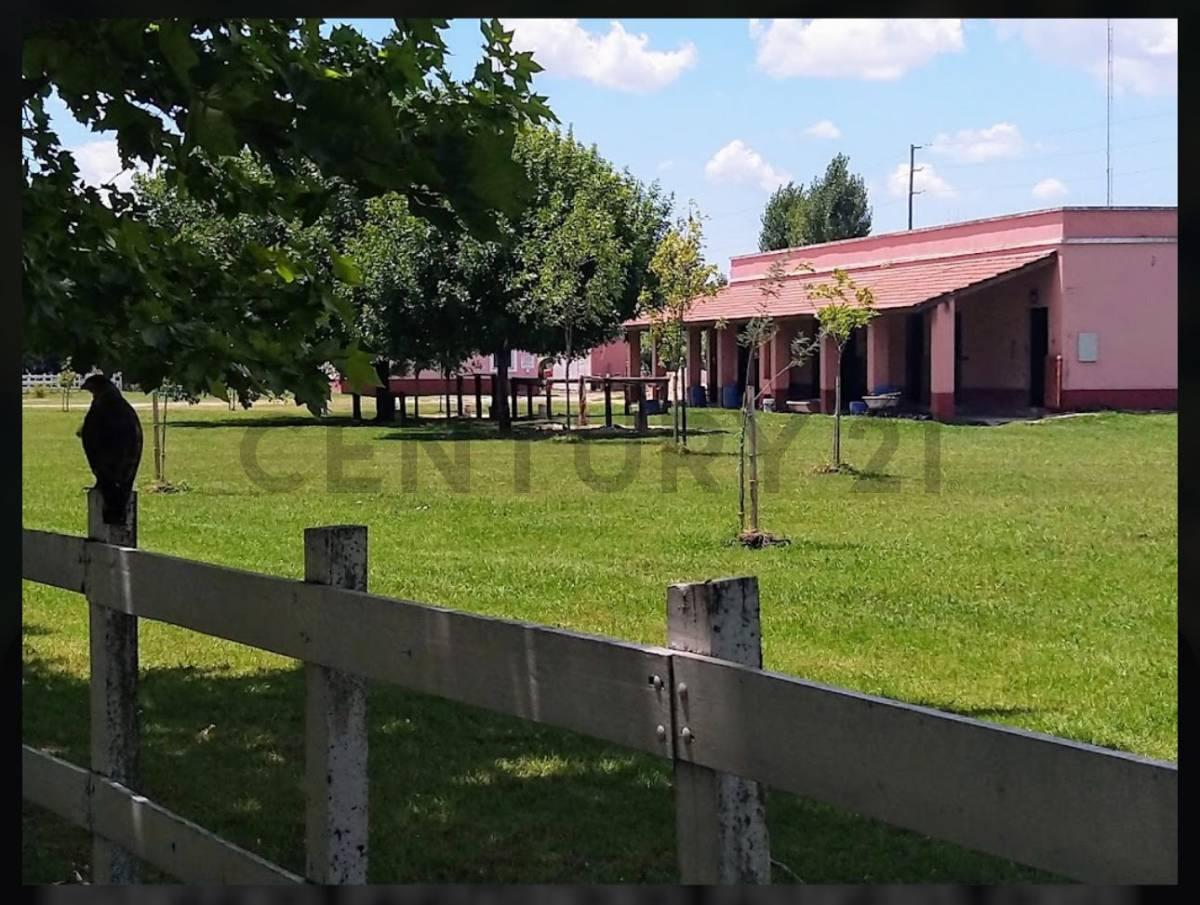 Foto de LINDISIMO LOTE EN HARAS DEL SOL, imagen 5