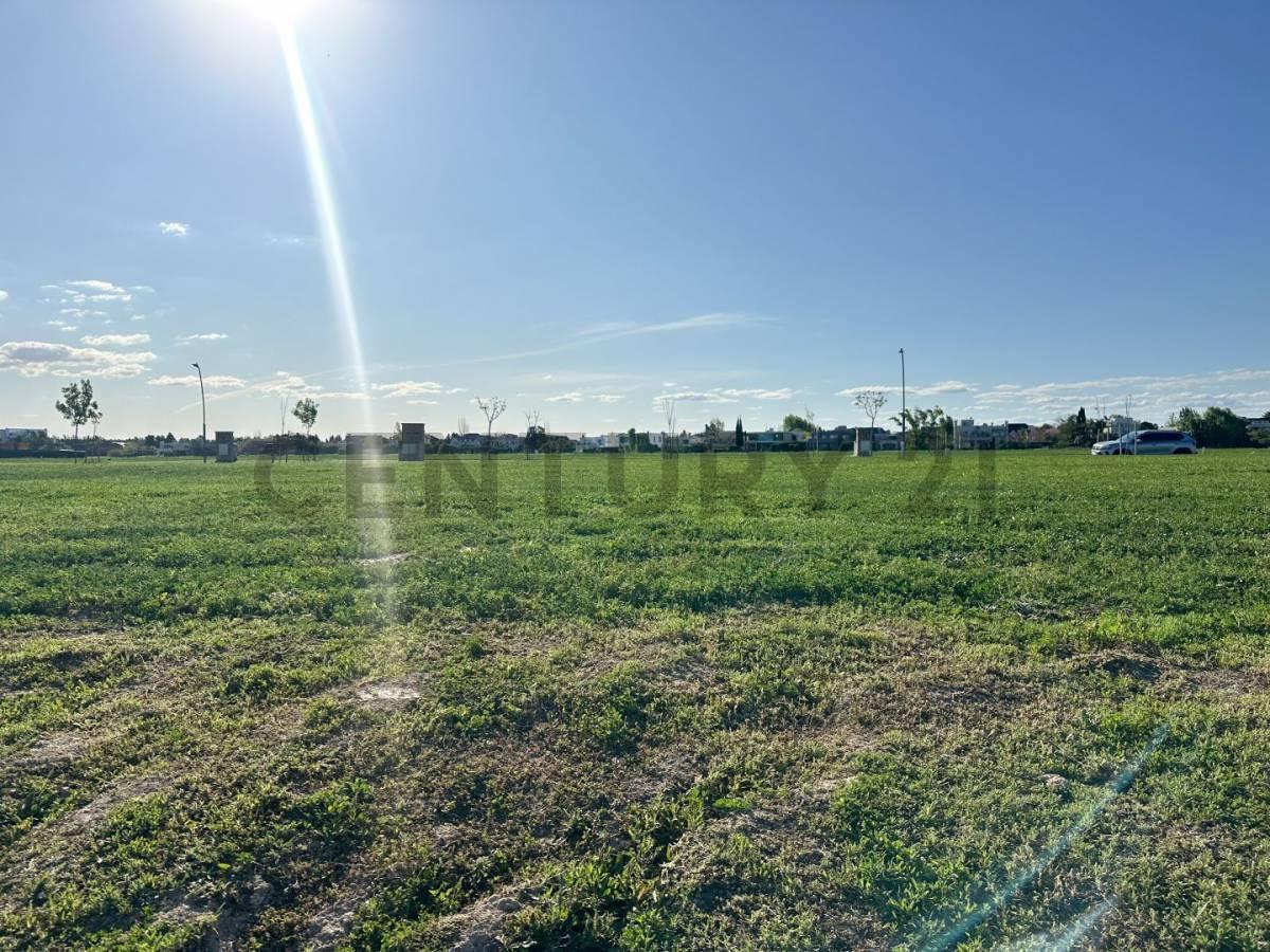 Foto de VENTA LOTE EN PUENTES NORDELTA, imagen 4