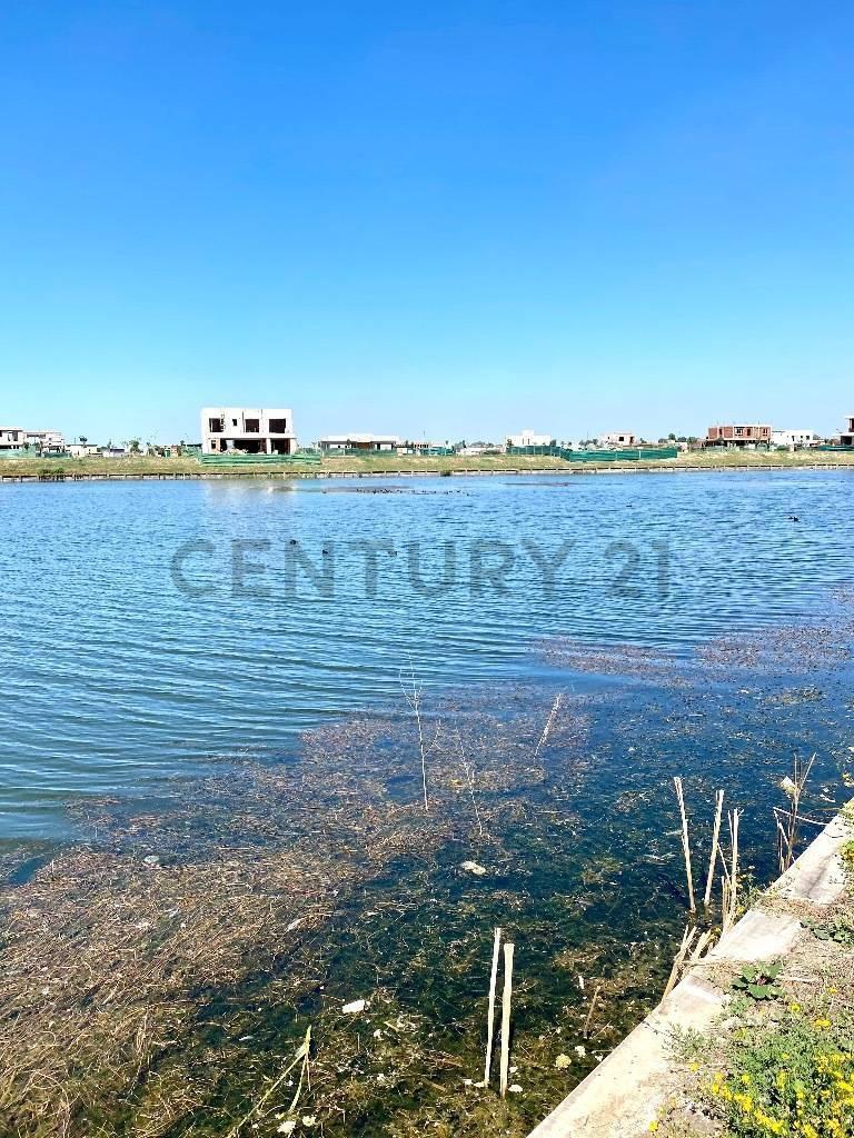 Foto de LINDISIMO LOTE AL AGUA EN RIBERAS, imagen 3