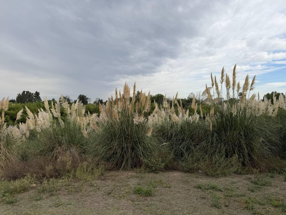 Foto de LOTE AL RIO EN BARRIO CANAL, VILLANUEVA, imagen 1