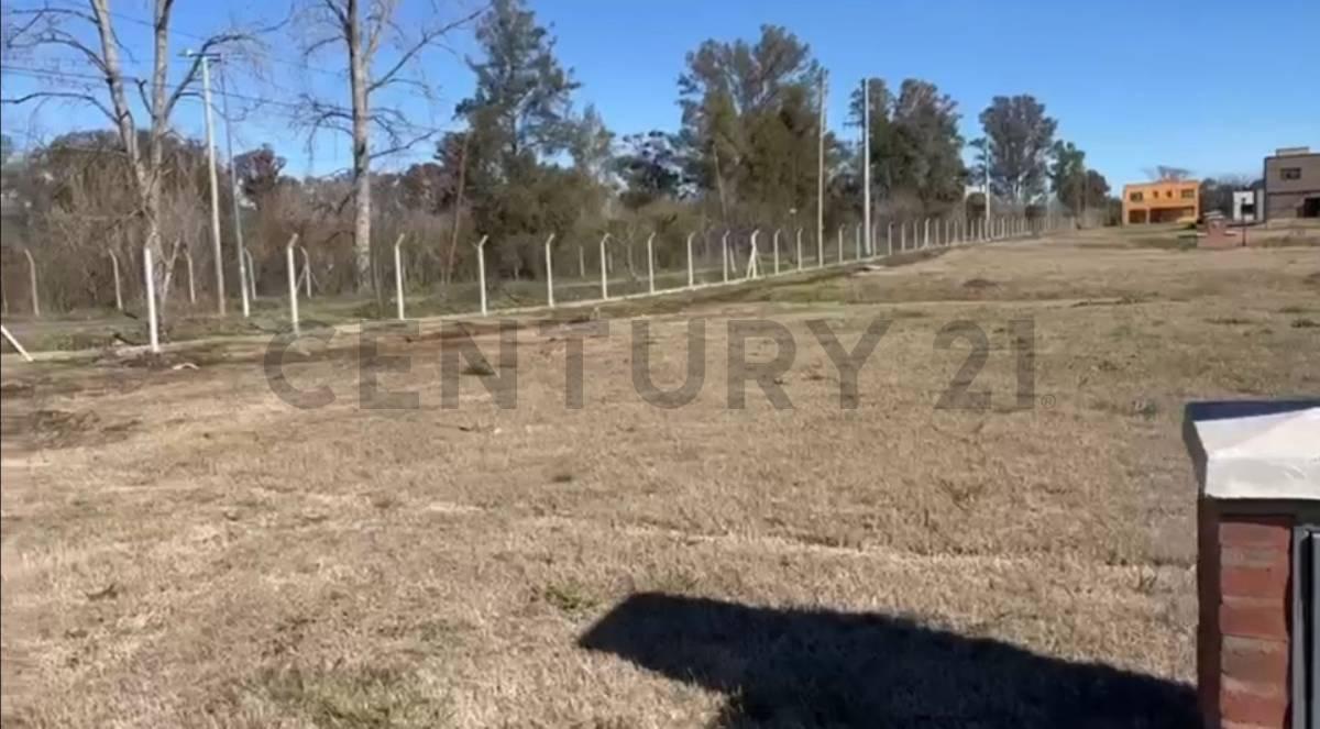Foto de Lote en venta, imagen 5