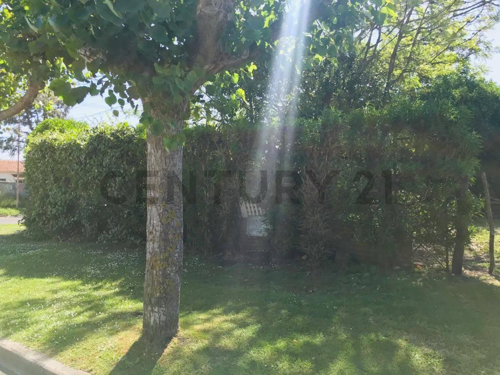 Lote en Venta Barrio San Carlos ID 20072 3