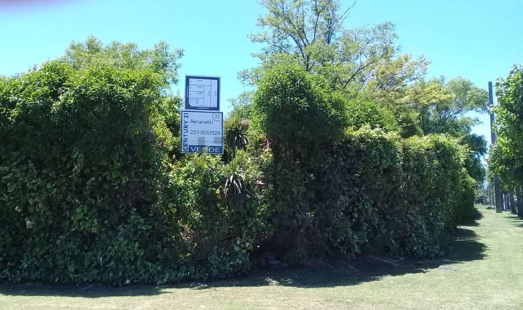Foto de LOTE EN VENTA ZONA BARRIO SAN CARLOS ID 20078, imagen 2