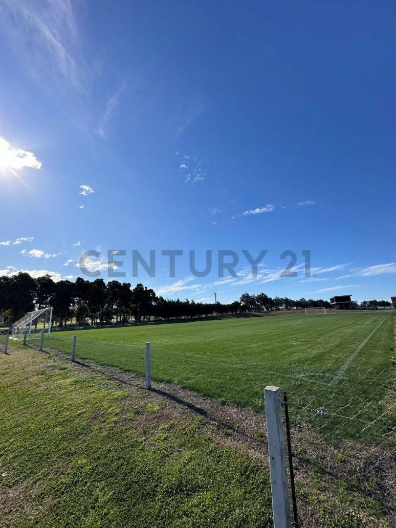 Foto de VENTA LOTE EN CASONAS DEL HARAS, imagen 4