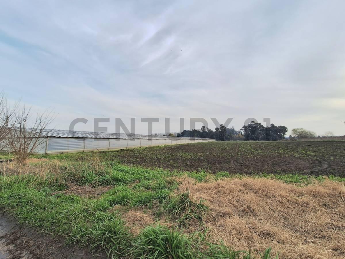 <p>Venta de Campo, Mar del Plata            
            
        </p><p>Century 21 Recanatti tie...