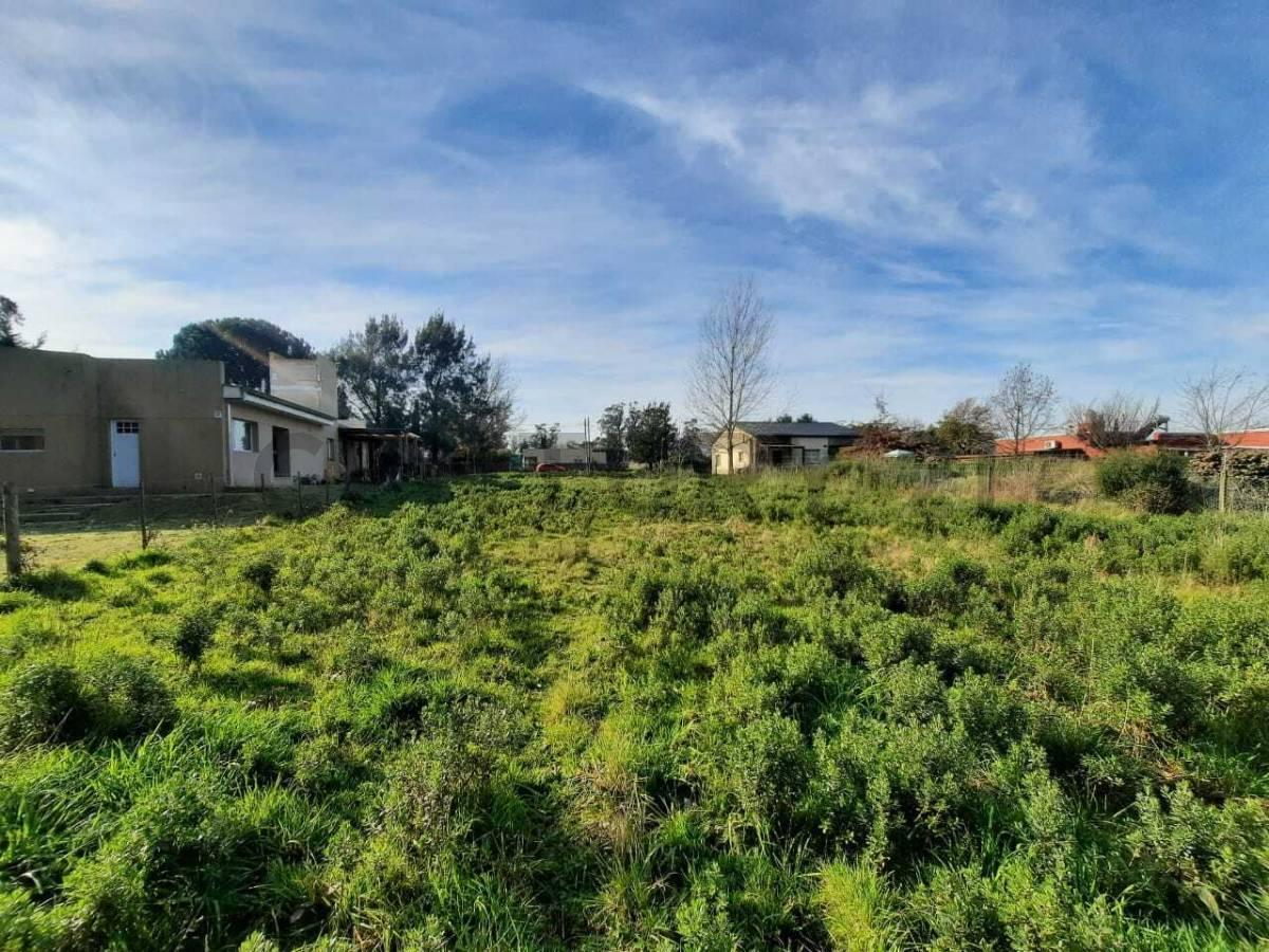 Foto de Lote en venta Sierra de los Padres, imagen 3