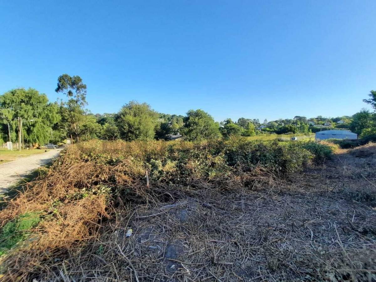 Foto de Vendo lote en Sierra de los Padres, imagen 2