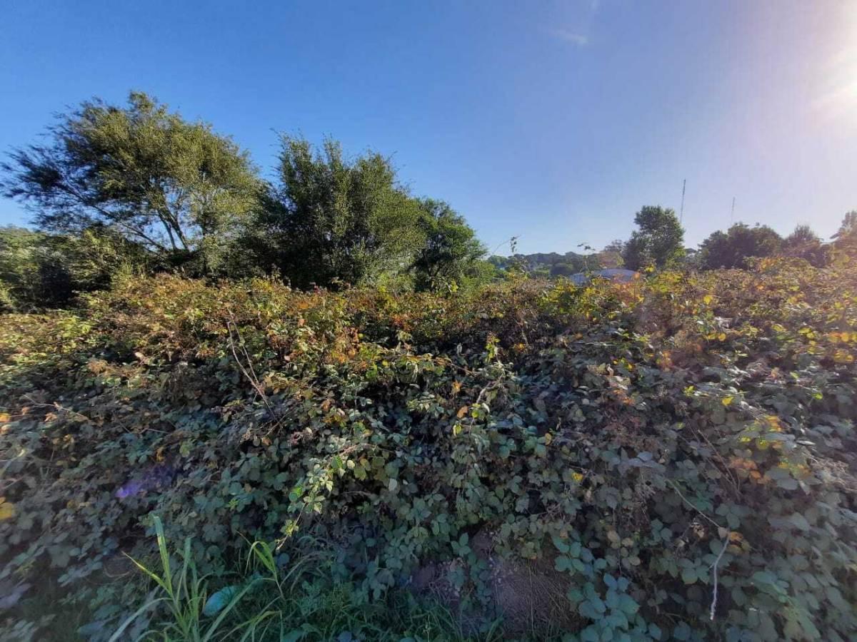 Foto de Vendo lote en Sierra de los Padres, imagen 3