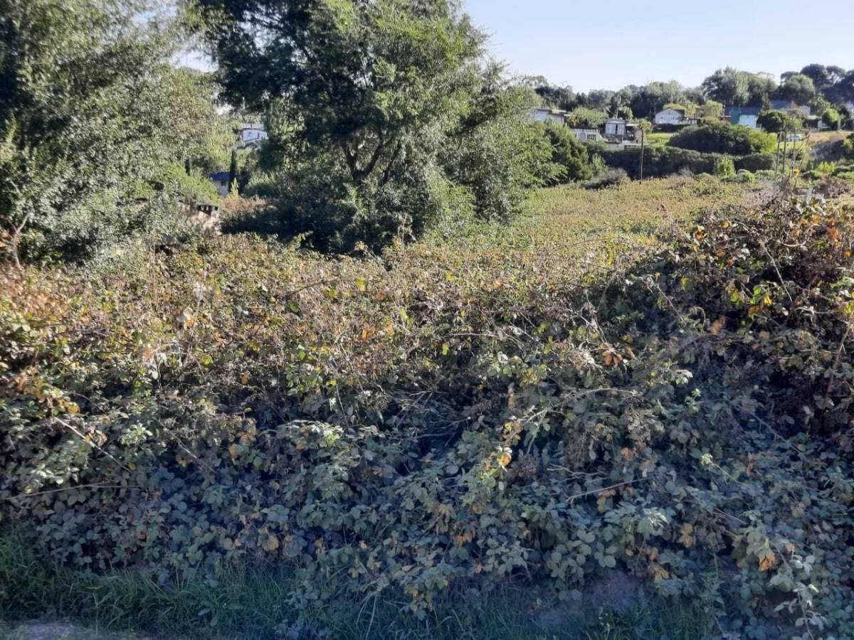 Foto de Vendo lote en Sierra de los Padres, imagen 4