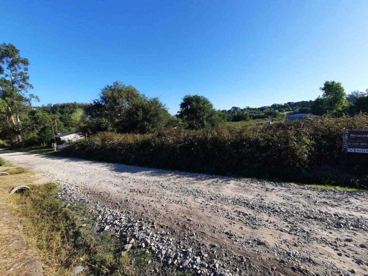 Foto de Vendo lote en Sierra de los Padres, imagen 5