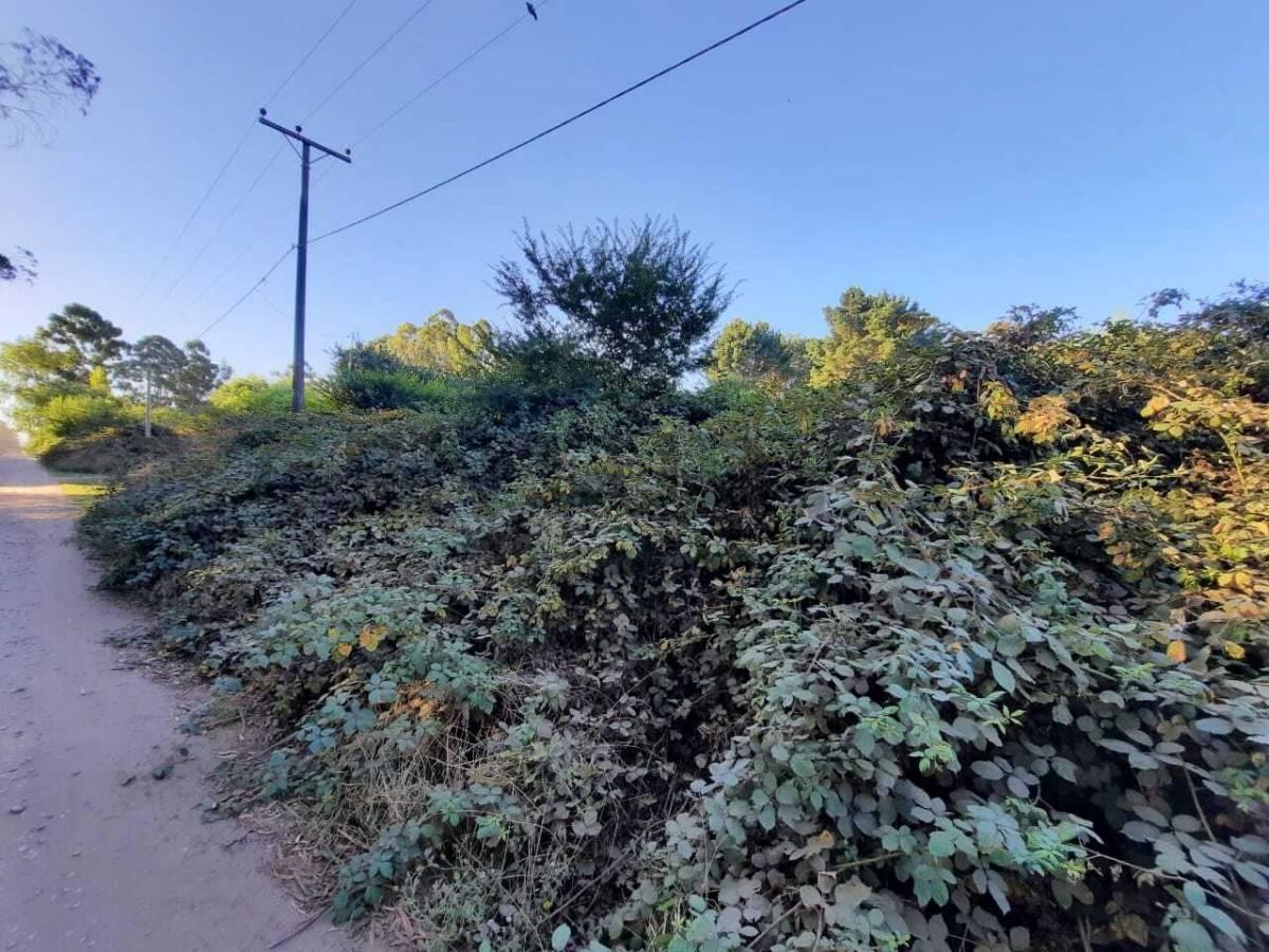 Foto de Vendo lote en Sierra de los Padres., imagen 2