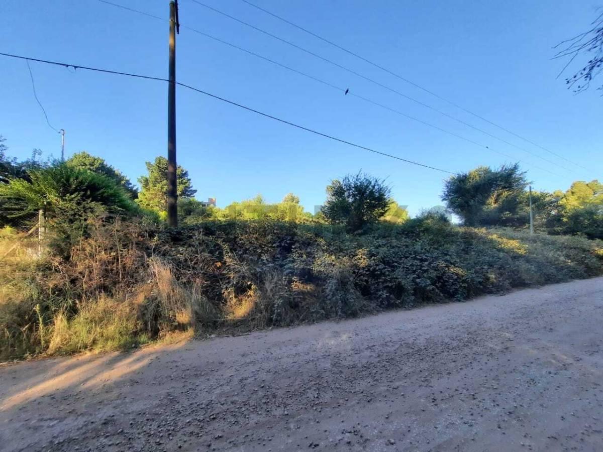 Foto de Vendo lote en Sierra de los Padres., imagen 1