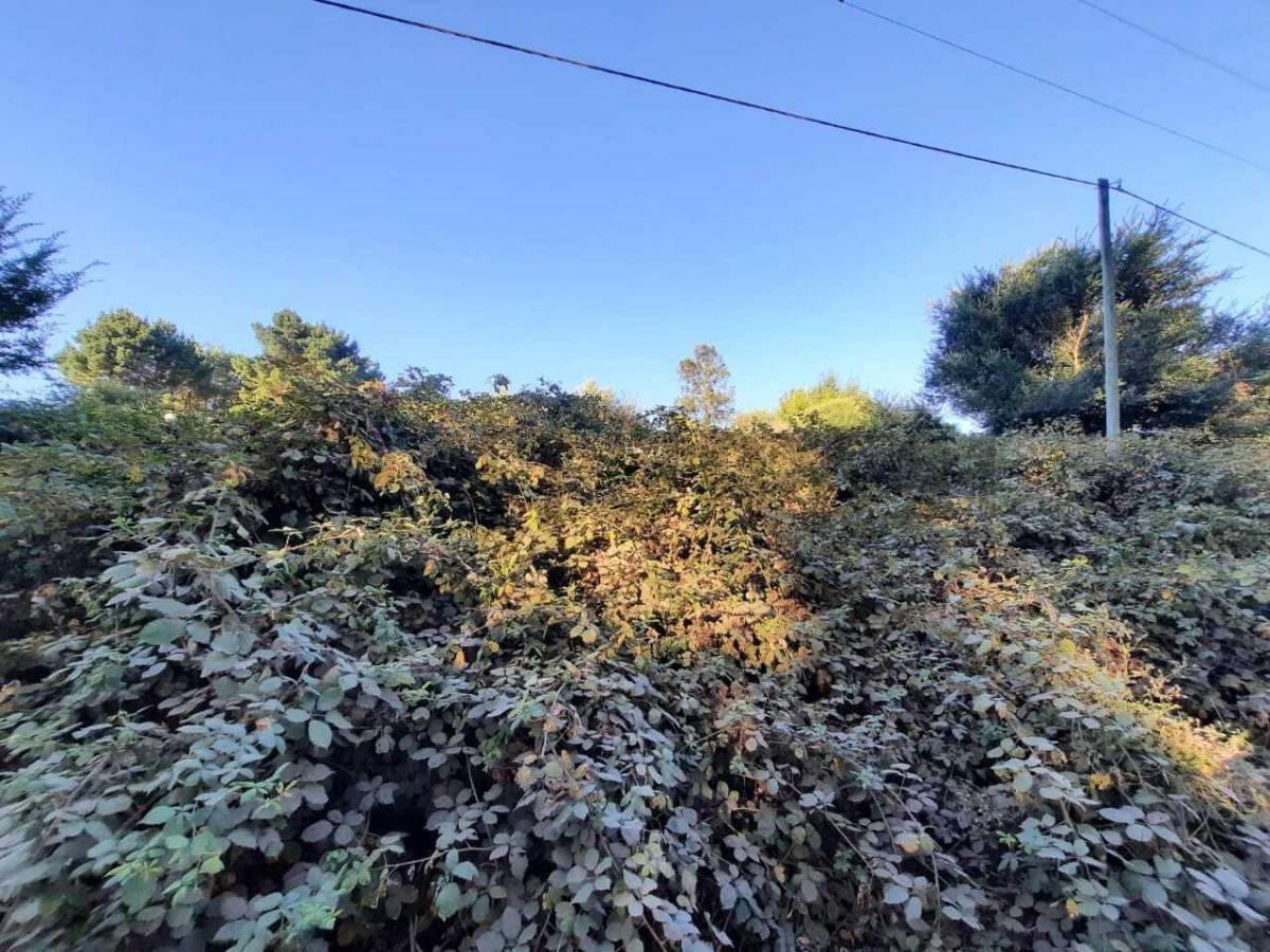Foto de Vendo lote en Sierra de los Padres., imagen 5