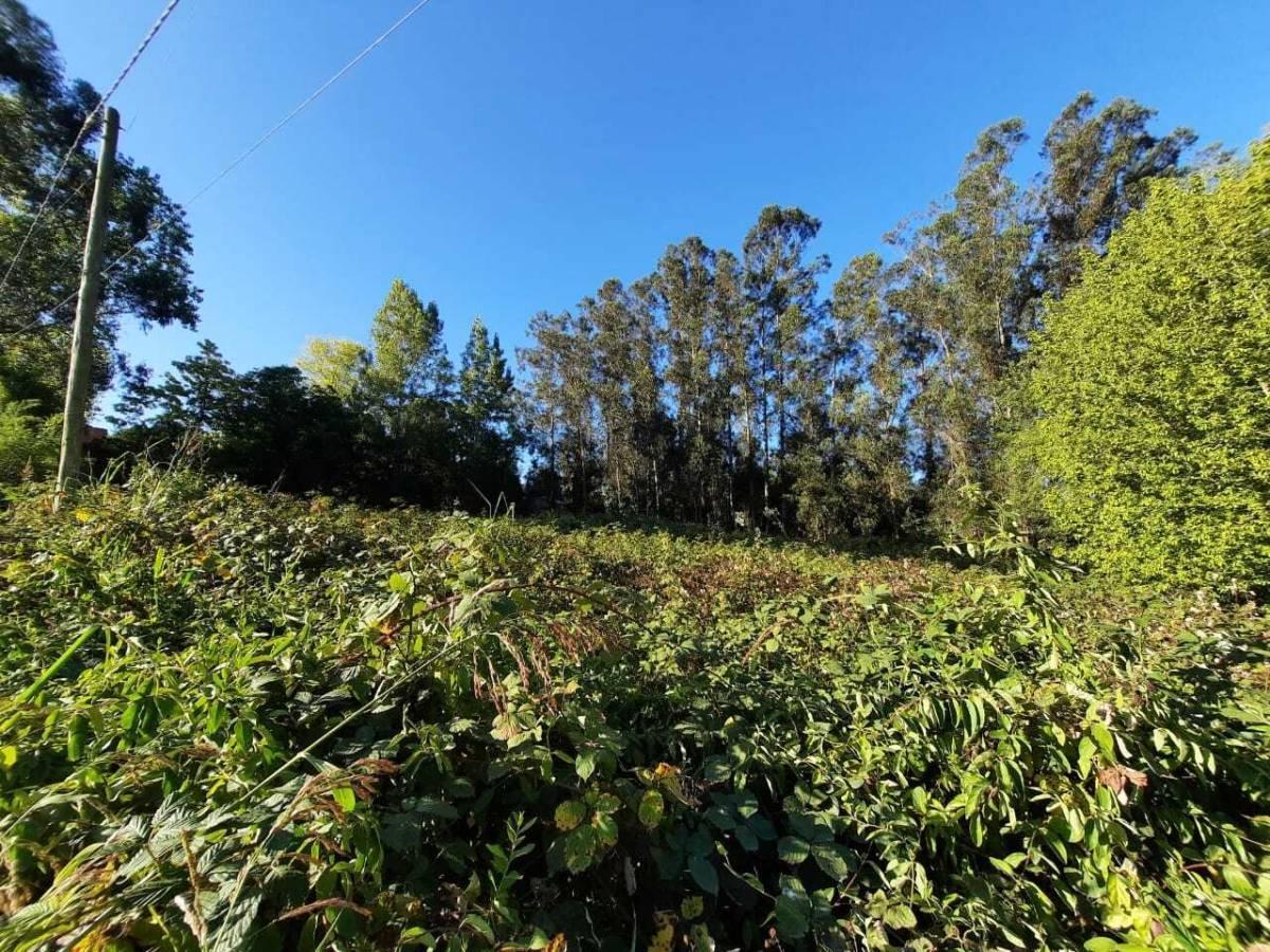 Foto de Vendo lote en Sierra de los Padres., imagen 4