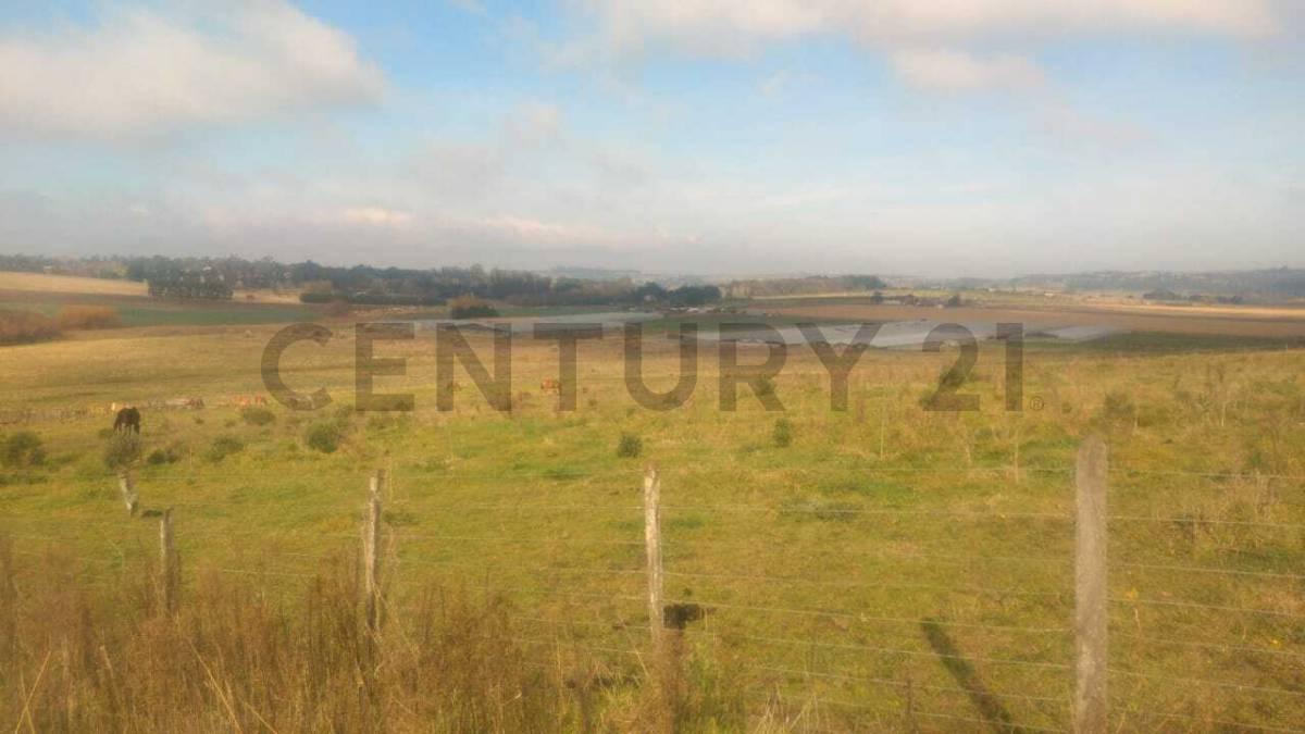 Foto de 11 HECTÁREAS DE CAMPO PRODUCTIVAS EN COLINAS VERDES ID 28640, imagen 2