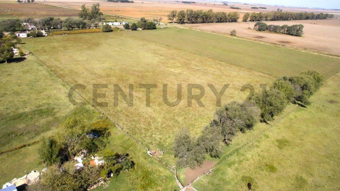 Foto de 11 HECTÁREAS DE CAMPO PRODUCTIVAS EN COLINAS VERDES ID 28640, imagen 1
