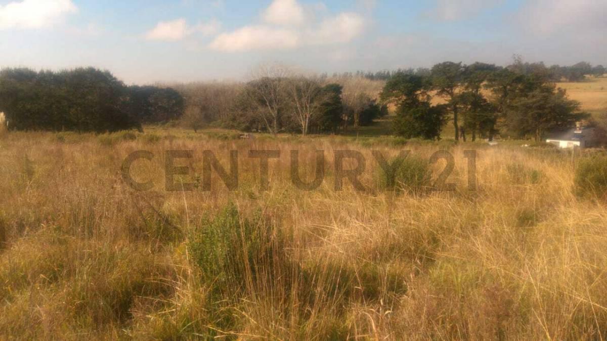 Foto de 11 HECTÁREAS DE CAMPO PRODUCTIVAS EN COLINAS VERDES ID 28640, imagen 5