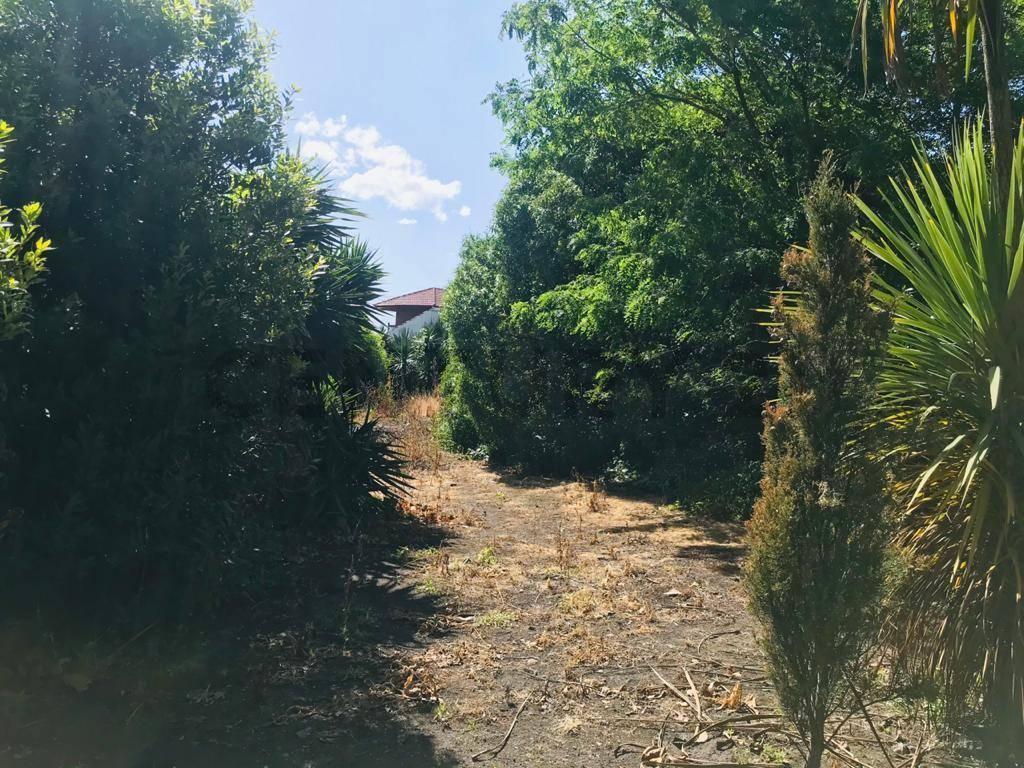 Foto de TERRENO EN VENTA EN BARRIO SAN CARLOS ID 20074, imagen 1