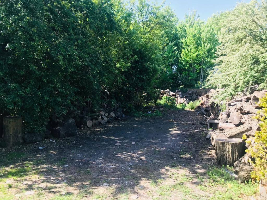 Foto de TERRENO EN VENTA EN BARRIO SAN CARLOS ID 20074, imagen 2