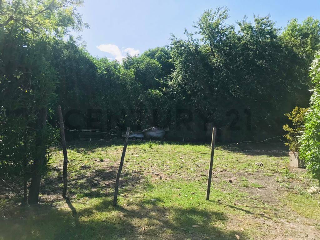 Foto de Venta lote zona San Carlos, Mar del Plata, imagen 5