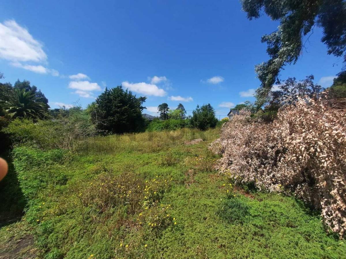 Foto de Lote en Sierra de los Padres a la venta, imagen 4