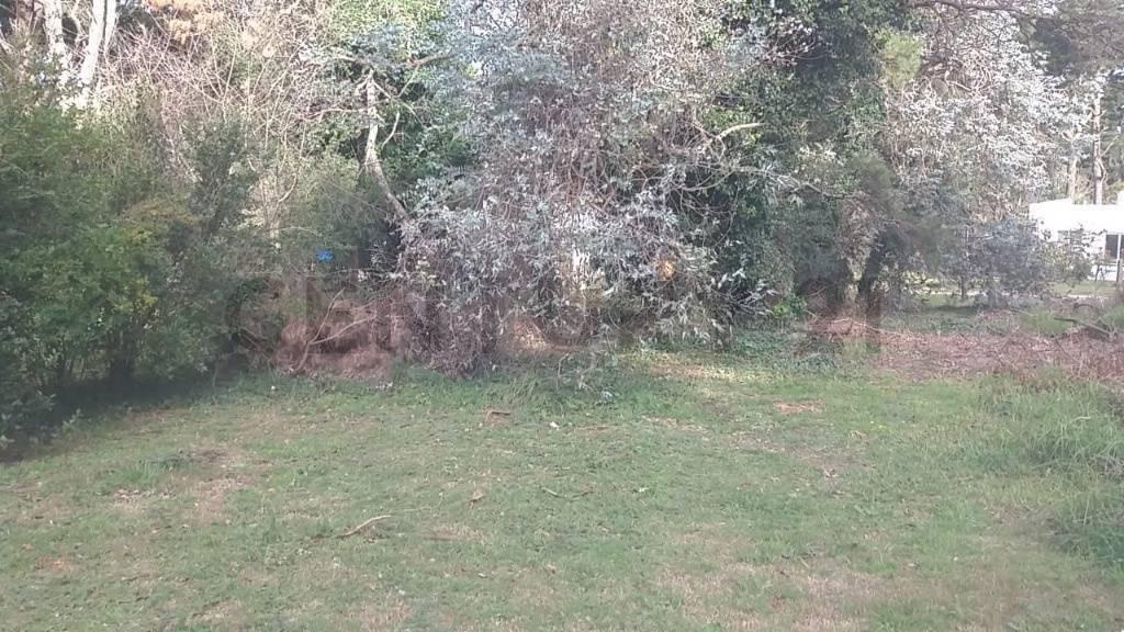 Foto de TERRENO EN SIERRA DE LOS PADRES ID 28522, imagen 3