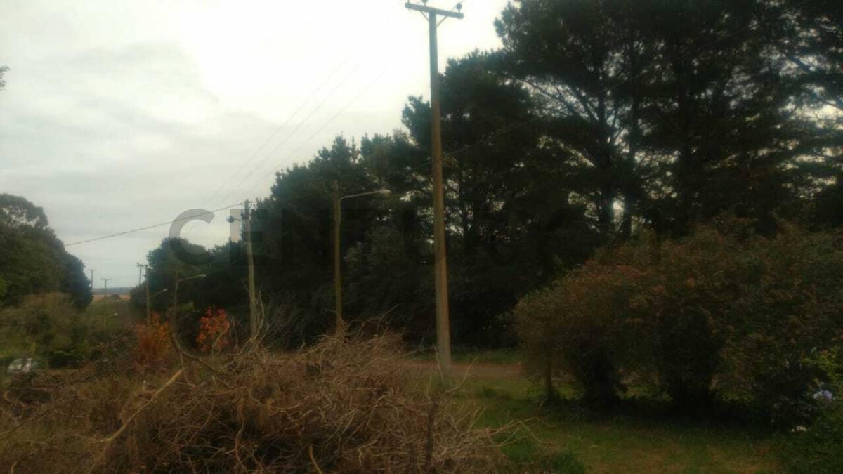 Foto de TERRENO EN SIERRA DE LOS PADRES ID 28522, imagen 2