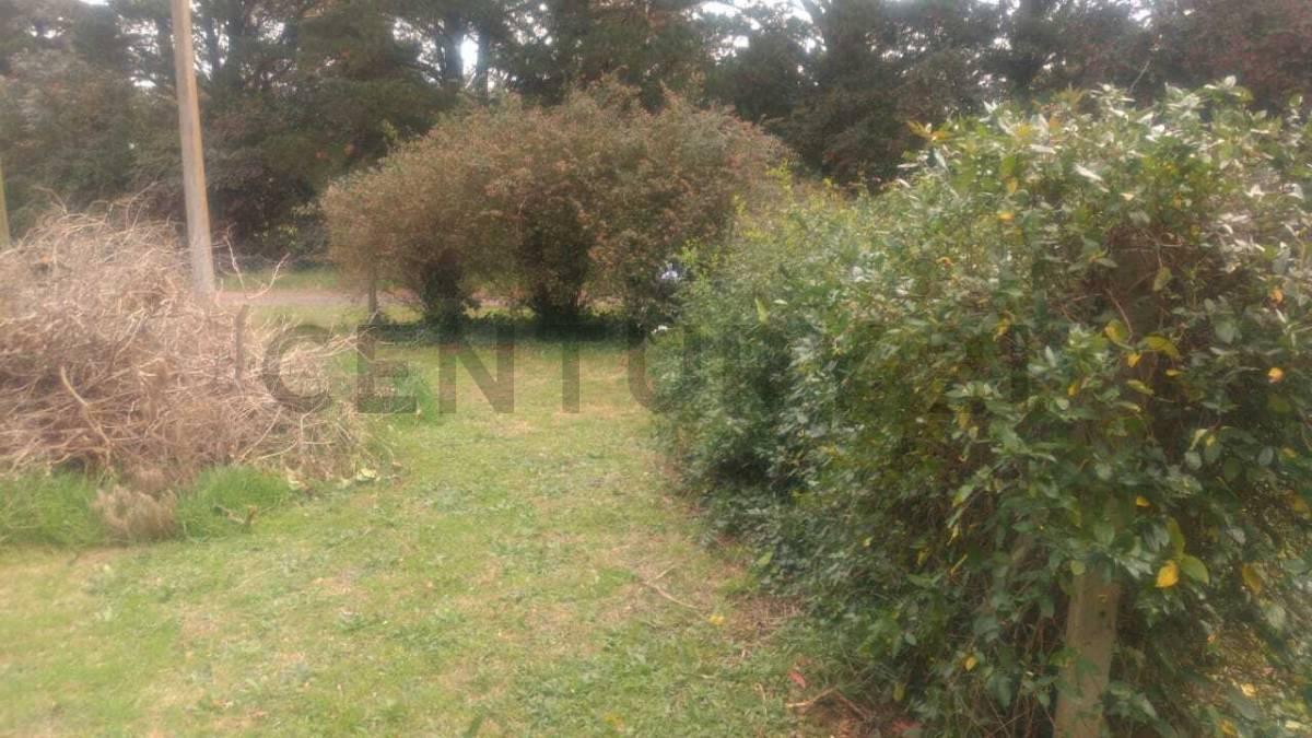 Foto de TERRENO EN SIERRA DE LOS PADRES ID 28522, imagen 4
