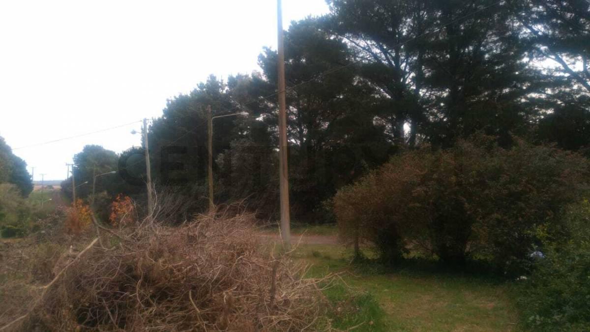 Foto de TERRENO EN SIERRA DE LOS PADRES ID 28522, imagen 1