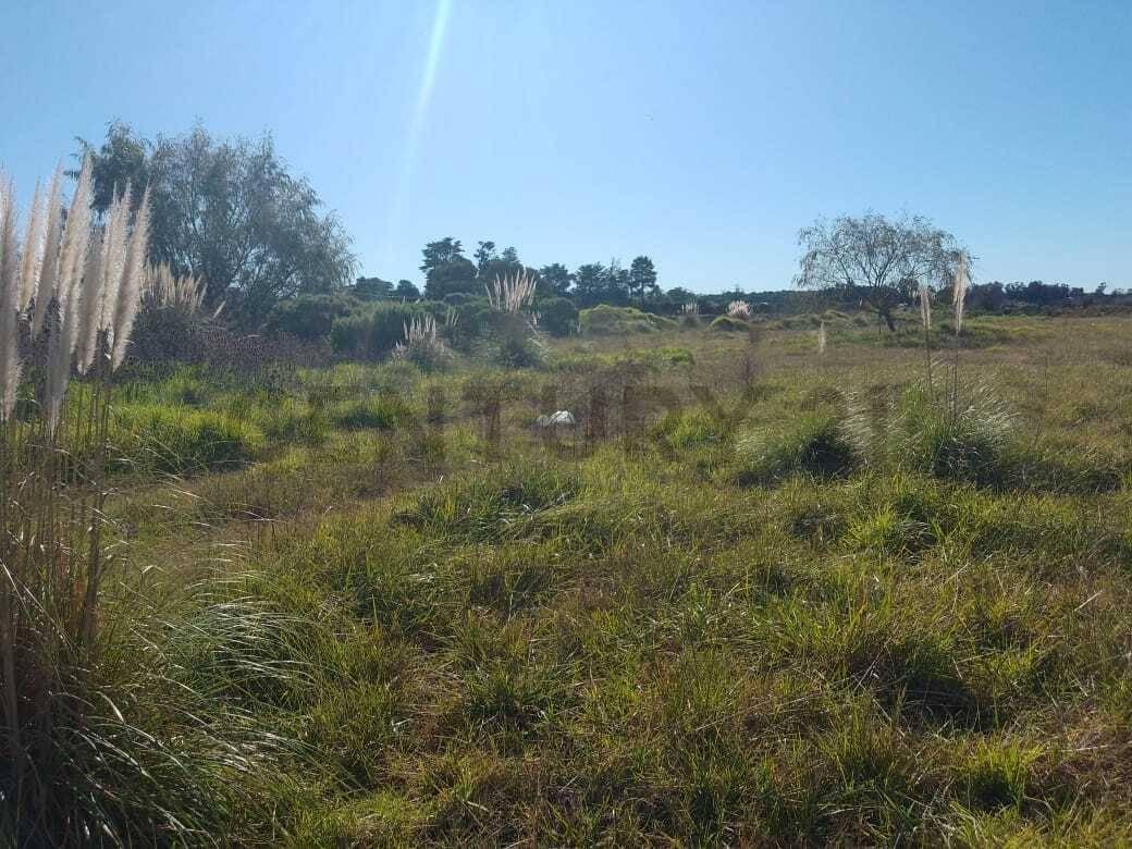 Foto de 3.5 HECTAREAS ZONA BATAN ID 68284, imagen 3