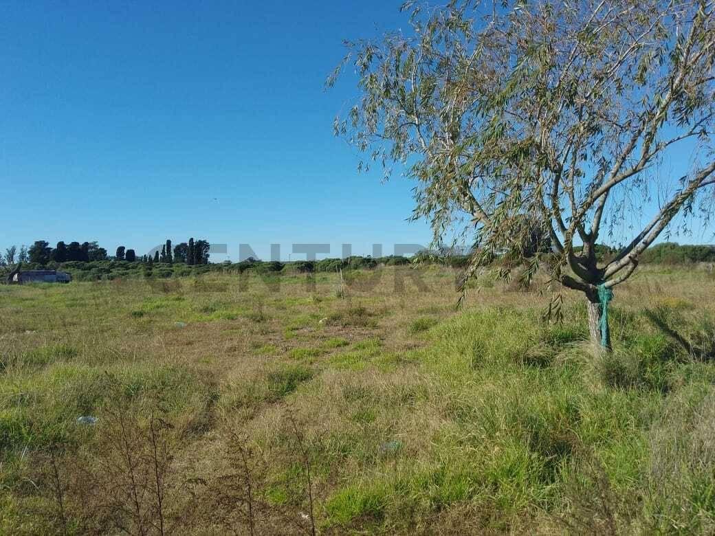Foto de 3.5 HECTAREAS ZONA BATAN ID 68284, imagen 2