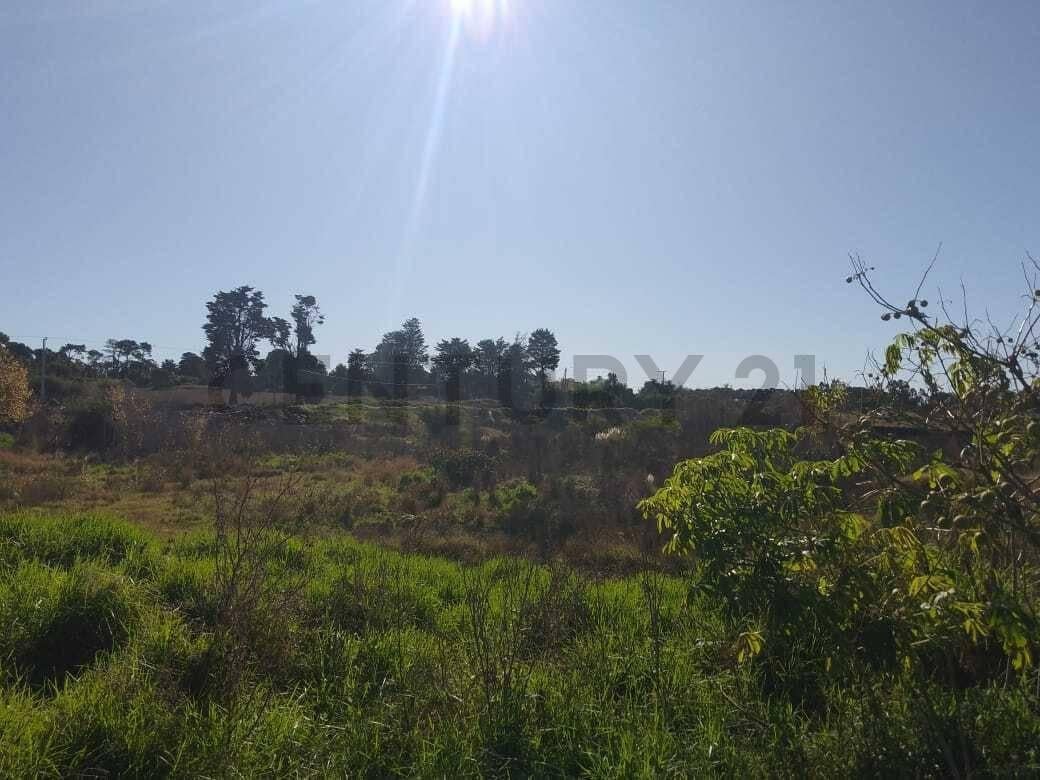 Foto de 3.5 HECTAREAS ZONA BATAN ID 68284, imagen 5