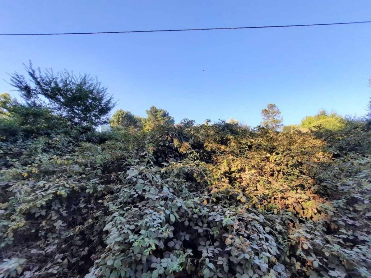 Foto de Vendo terreno en Sierra de los Padres., imagen 4