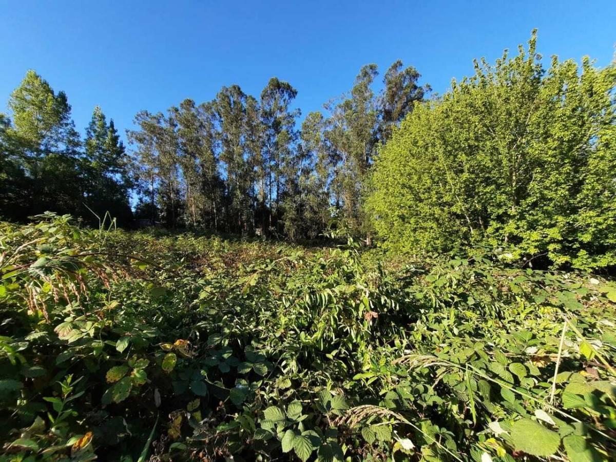 Foto de Vendo terreno en Sierra de los Padres., imagen 5