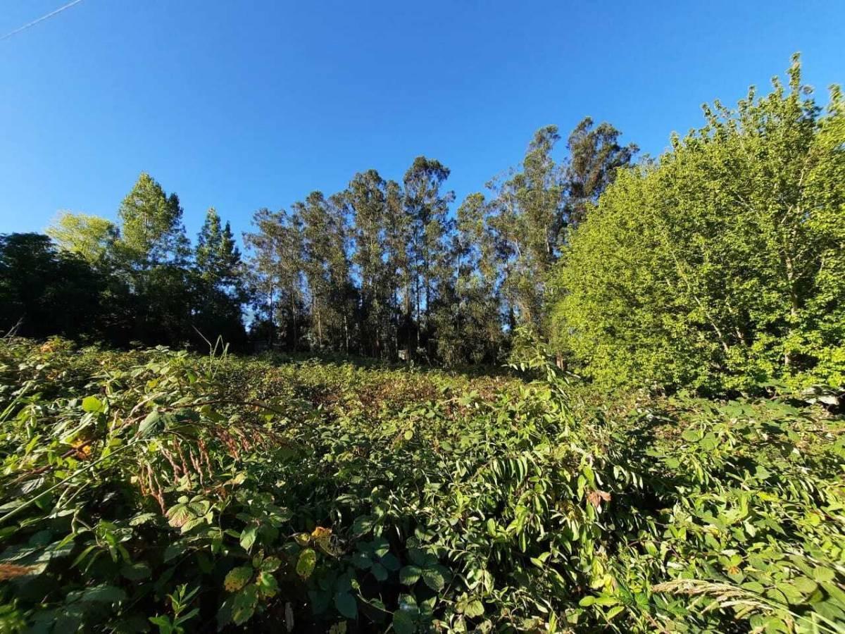 Foto de Vendo terreno en Sierra de los Padres., imagen 3