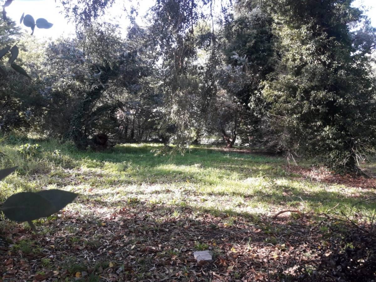 Foto de VENDO LOTE EN SIERRA DE LOS PADRES ZONA GOLF, imagen 2